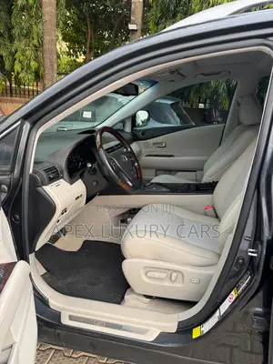 Lexus RX 2012 Gray