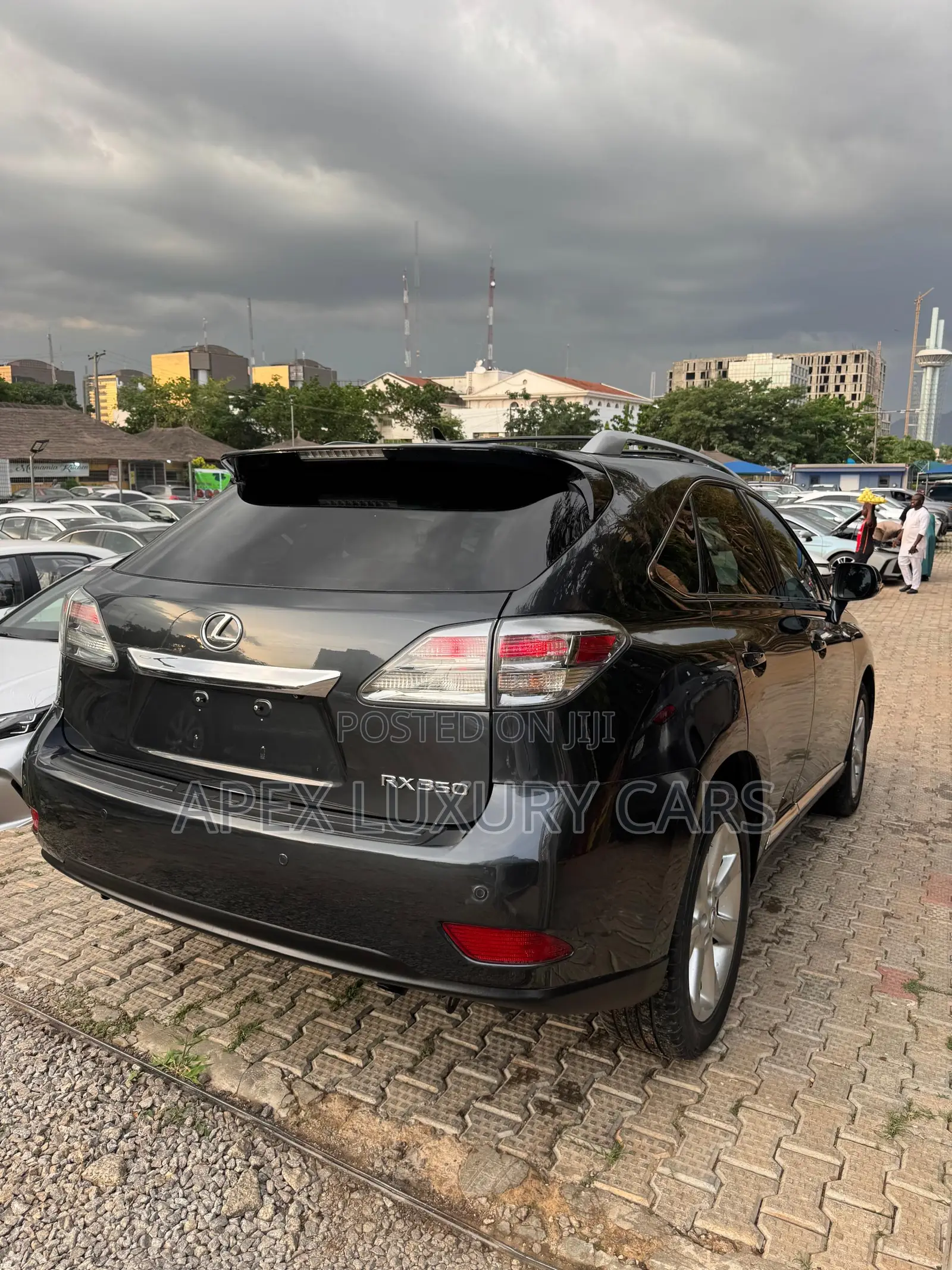 Lexus RX 2012 Gray