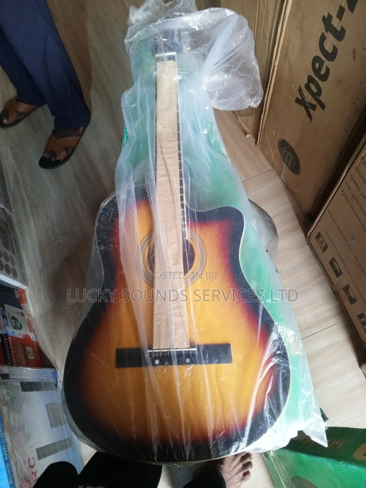 Acoustic Guitar 