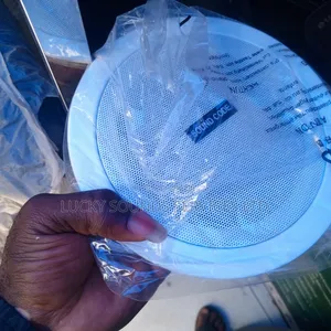 Celling Speaker
