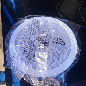 Celling Speaker