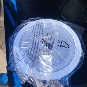 Celling Speaker