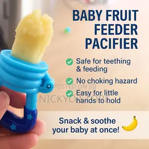 Baby Fruit Feeder Pacifier Safe Fun Soothing