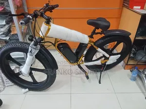 Commercial Electric Bike