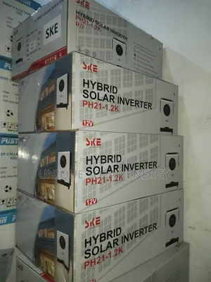 Ske 1.2kva 12v Transformerless Hybrid Inverter