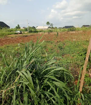 C of O 100/100 Land at Egba,Aduwawa for Sale
