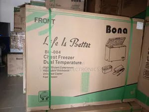 Dc Solar Freezer 318 Liters