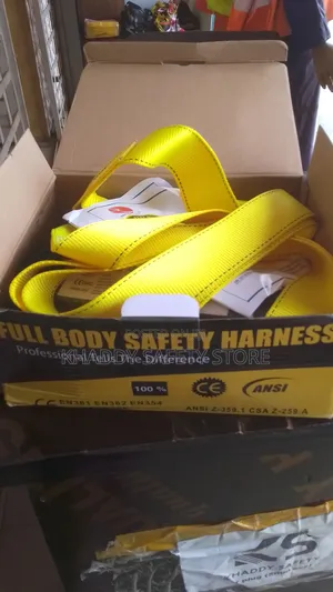 Full Body Harness