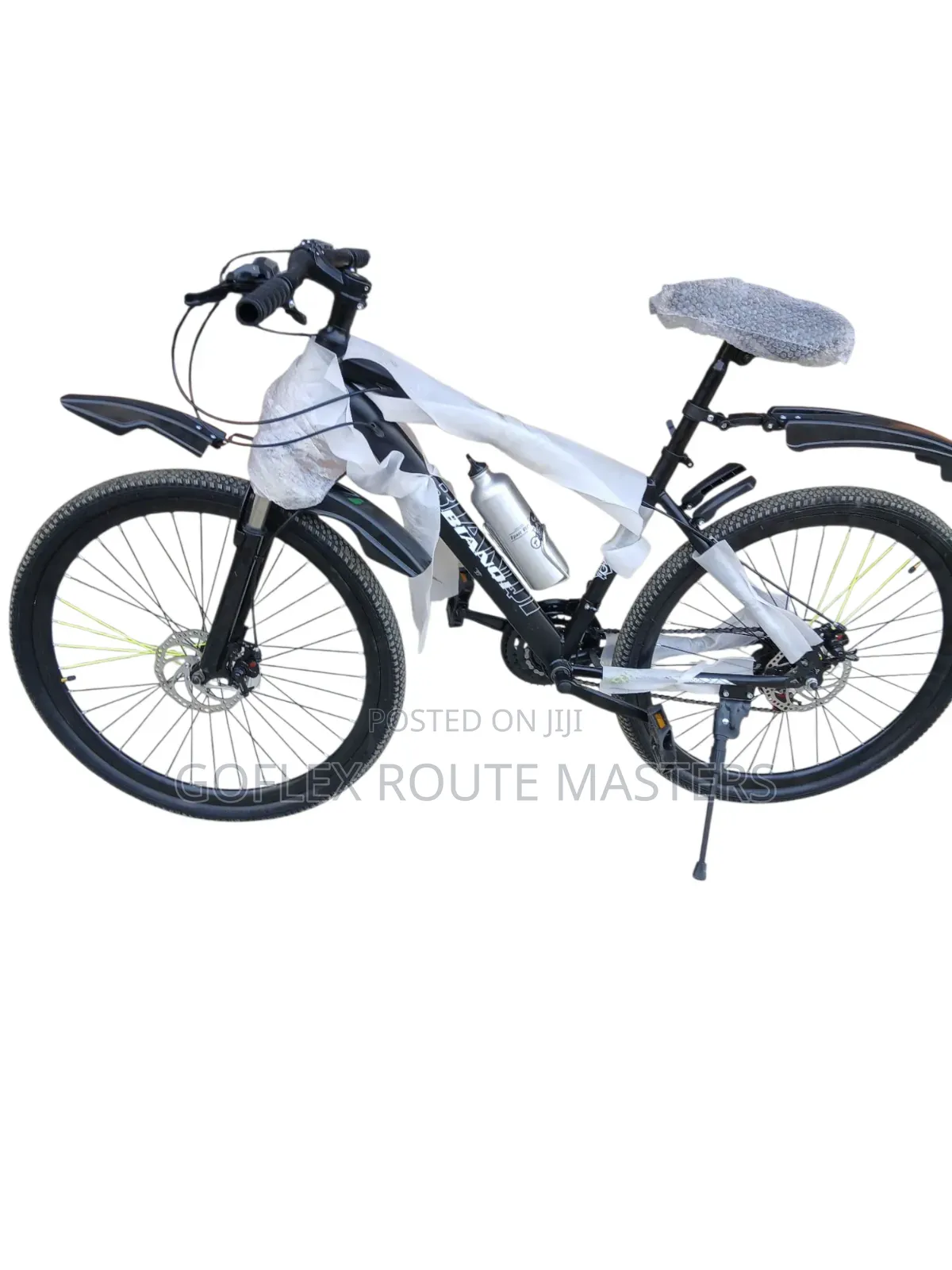 Adult Bicycle Bianqi