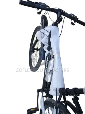 Adult Bicycle Bianqi