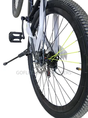 Adult Bicycle Bianqi