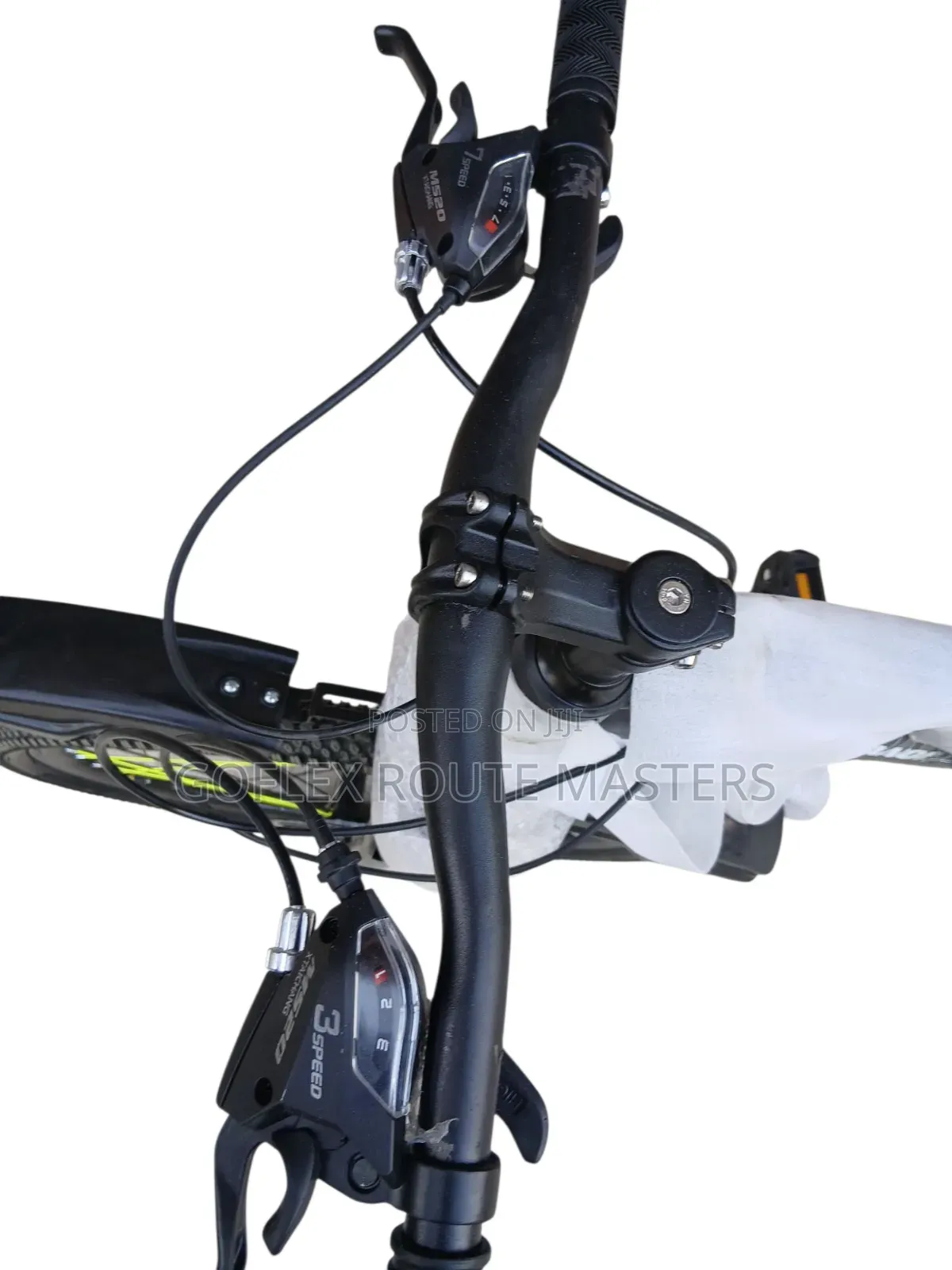 Adult Bicycle Bianqi