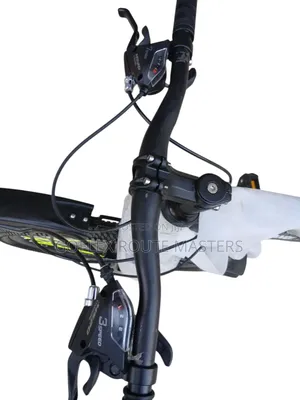 Adult Bicycle Bianqi