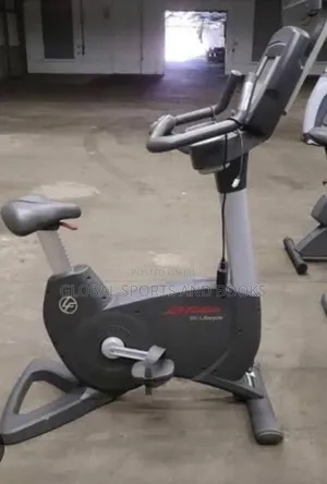 Commercial Upright Magnetic Resistance Bike (Brtw)