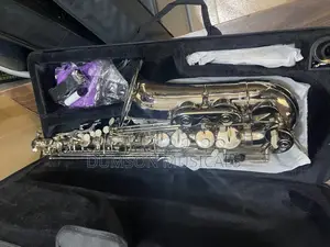 Alto Saxophone Pure Silver