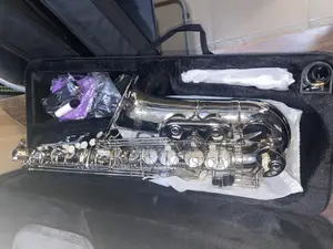 Alto Saxophone Pure Silver