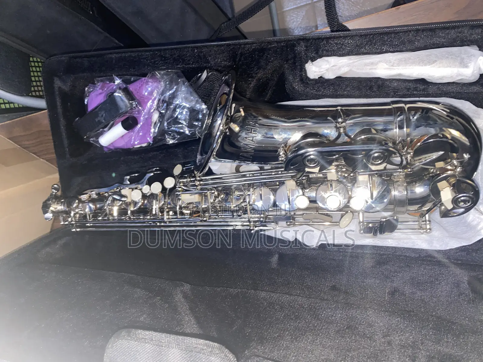 Alto Saxophone Pure Silver
