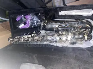 Alto Saxophone Pure Silver
