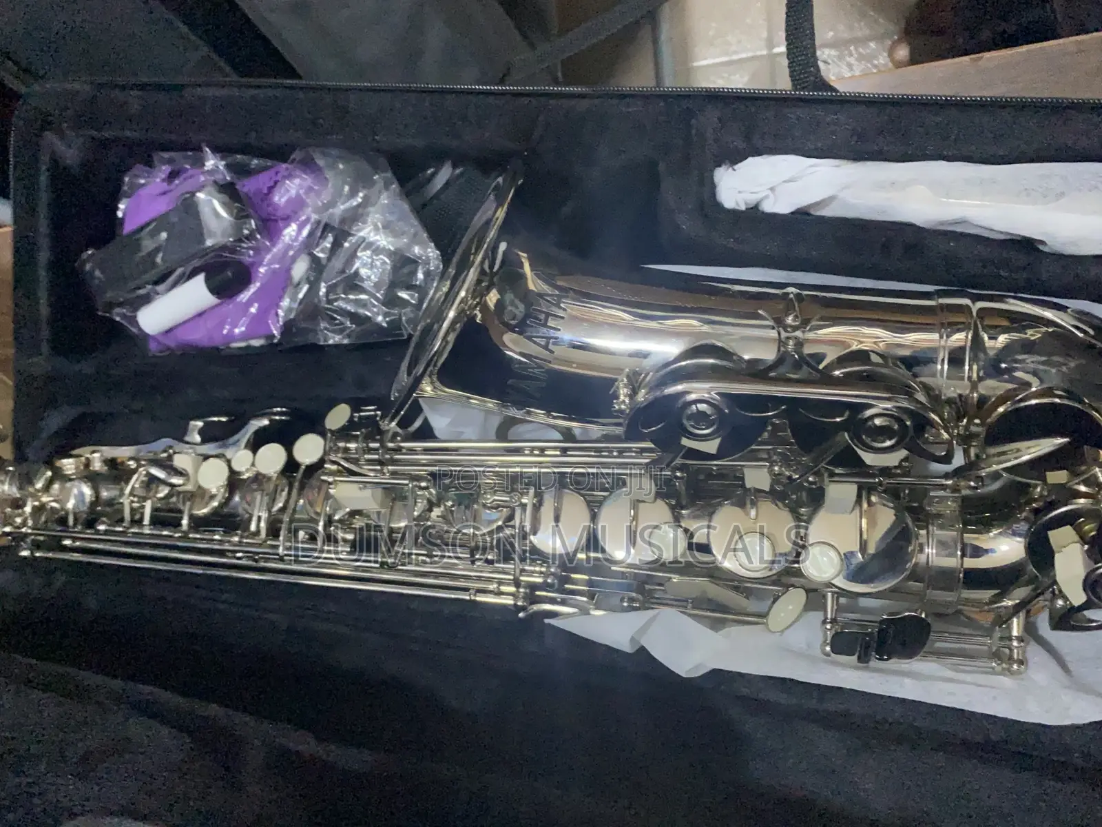 Alto Saxophone Pure Silver
