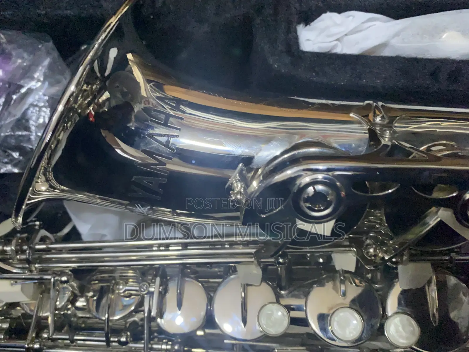 Alto Saxophone Pure Silver