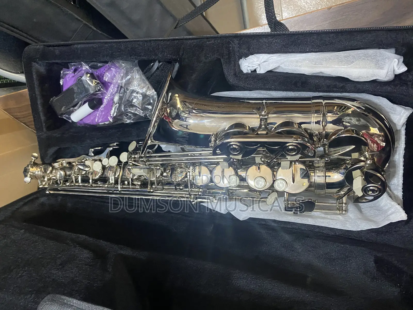 Alto Saxophone Pure Silver