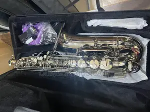 Alto Saxophone Pure Silver