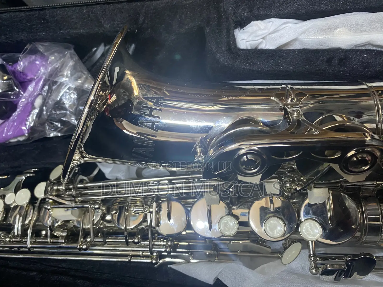 Alto Saxophone Pure Silver