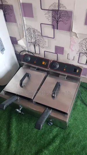 Photo - Industrial Double Deep Fryer