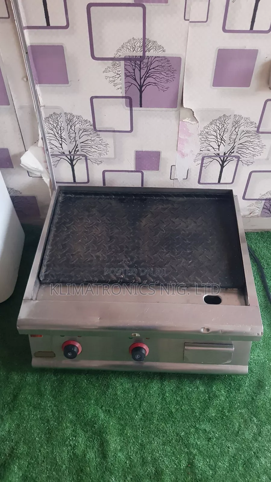 Electric Grill
