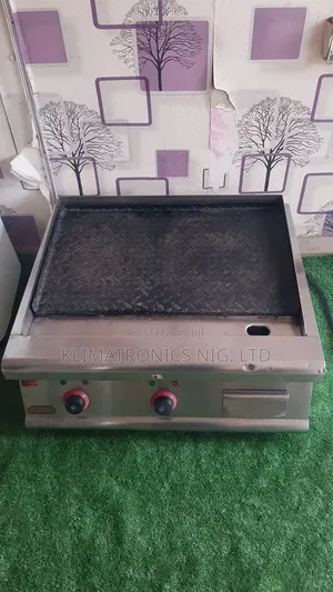Electric Grill