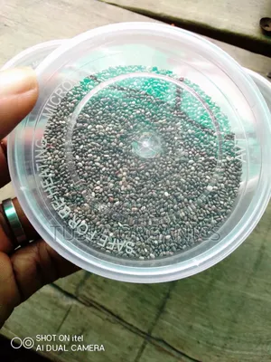 Chia Seeds 250g