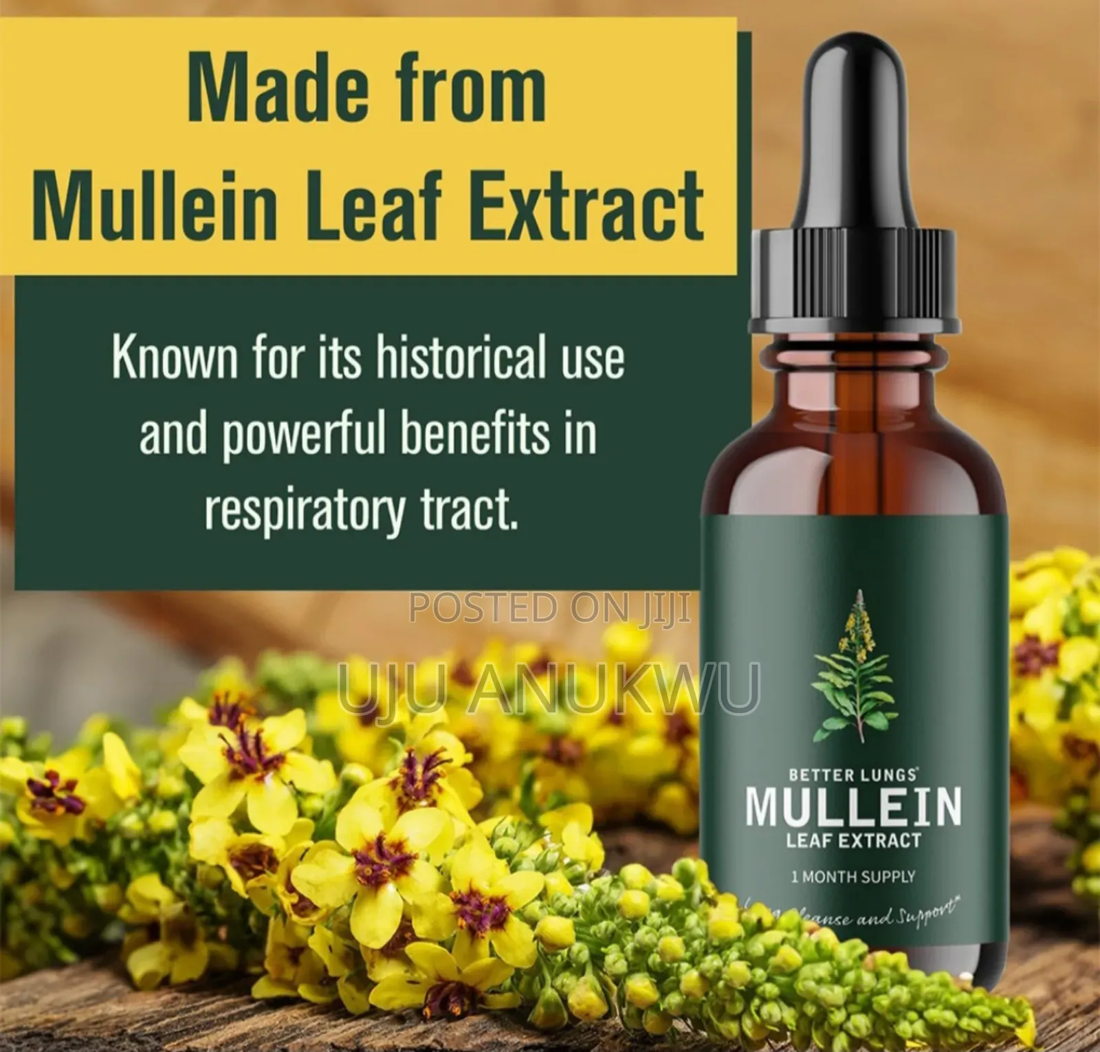 Mullein Better Lungs Leaf Extract
