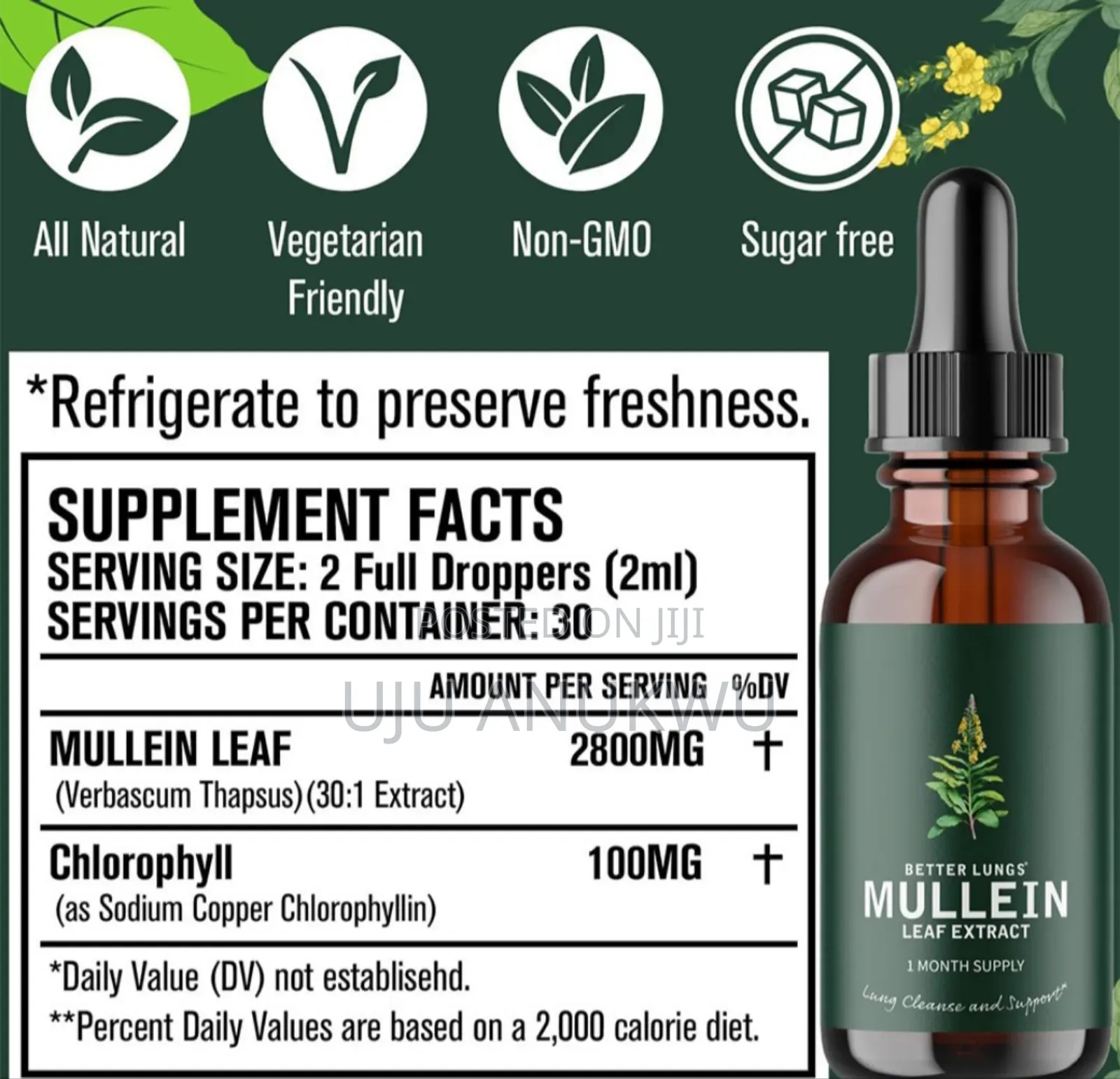 Mullein Better Lungs Leaf Extract