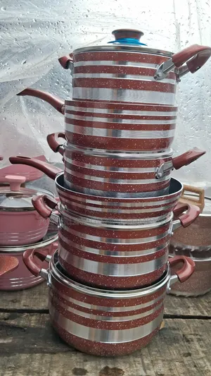 Non Stick Pot of 5 Set for Homes/ Restaurants/ Hotels