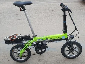 Rich -Bit Electric Bike