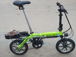 Rich -Bit Electric Bike
