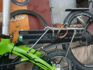 Rich -Bit Electric Bike