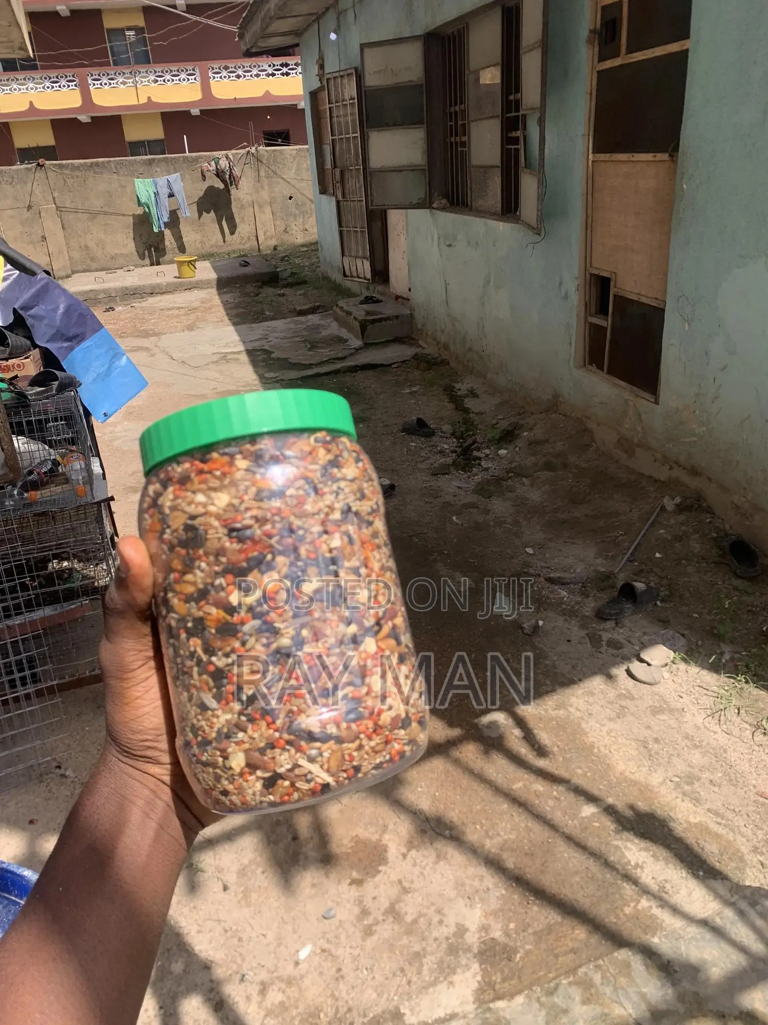 Parrot Feed
