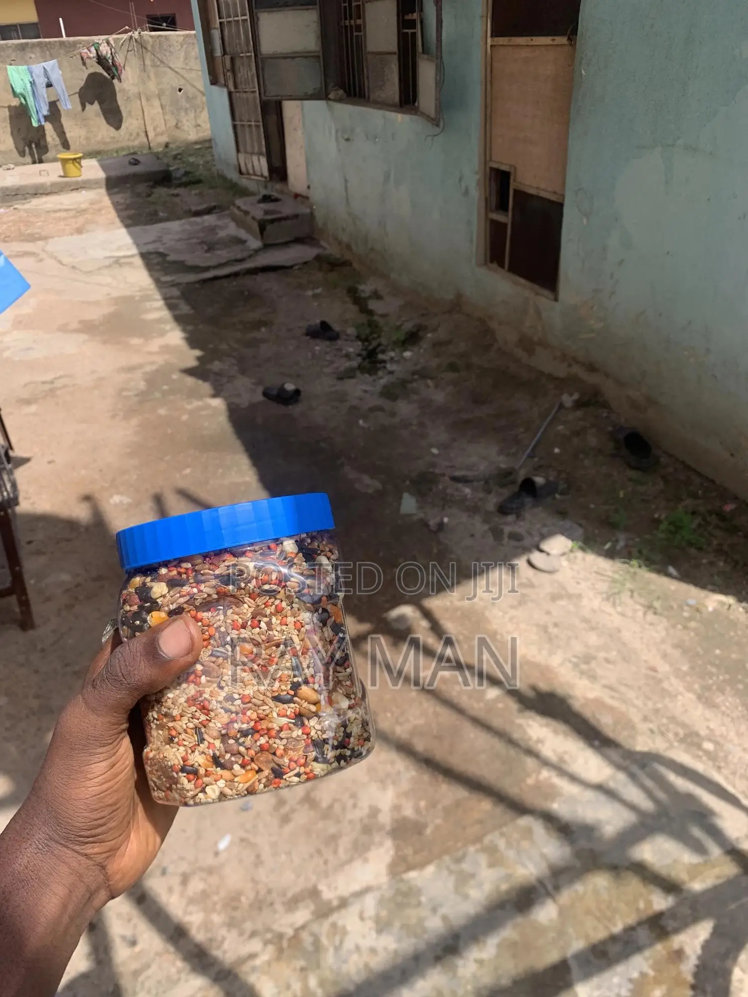 Parrot Feed