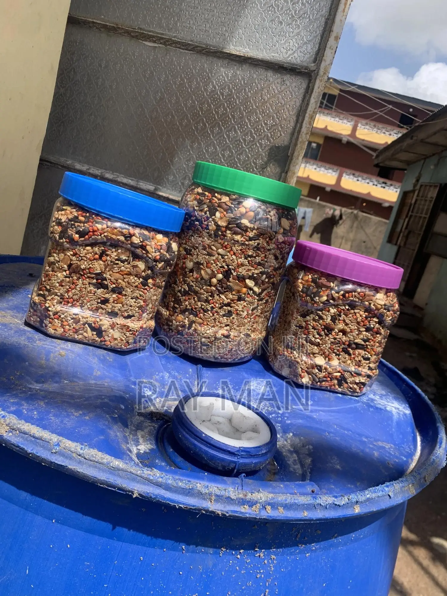 Parrot Feed