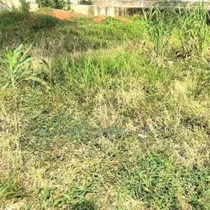 An Acres of Land on Dangote Road