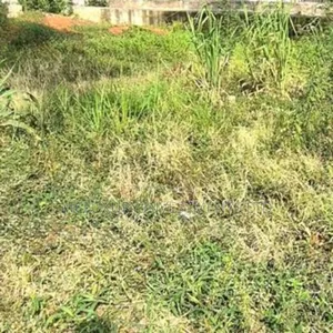 1023 Hectares of Fenced and Gated Plots of Land