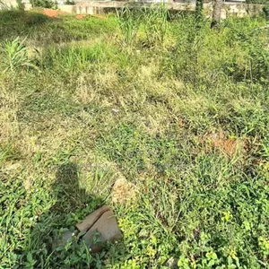 Bareland Selling at Lekki Scheme 2