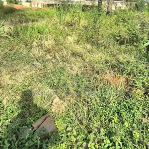 Land Measuring 1321 SQM