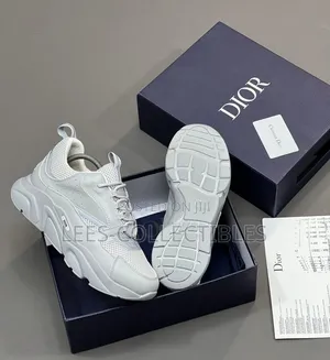 Quality Dior B22 Grey Calfskin Trainers