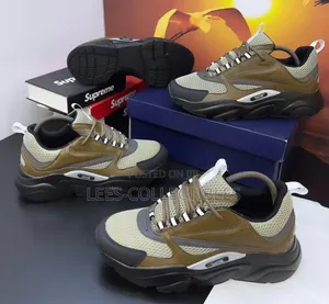 Quality Dior B22 Grey Calfskin Trainers