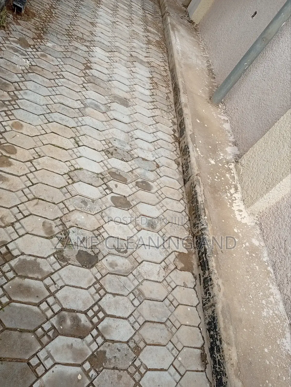 Cleaning and Fumigation Services