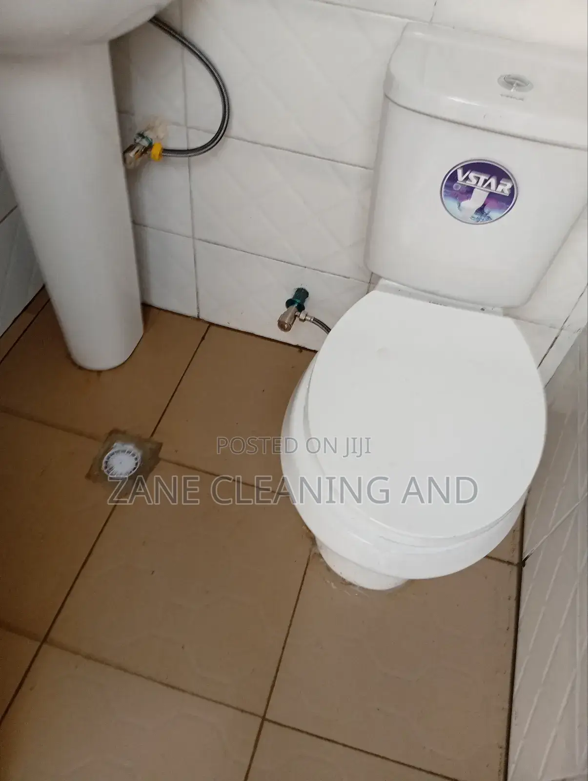 Cleaning and Fumigation Services