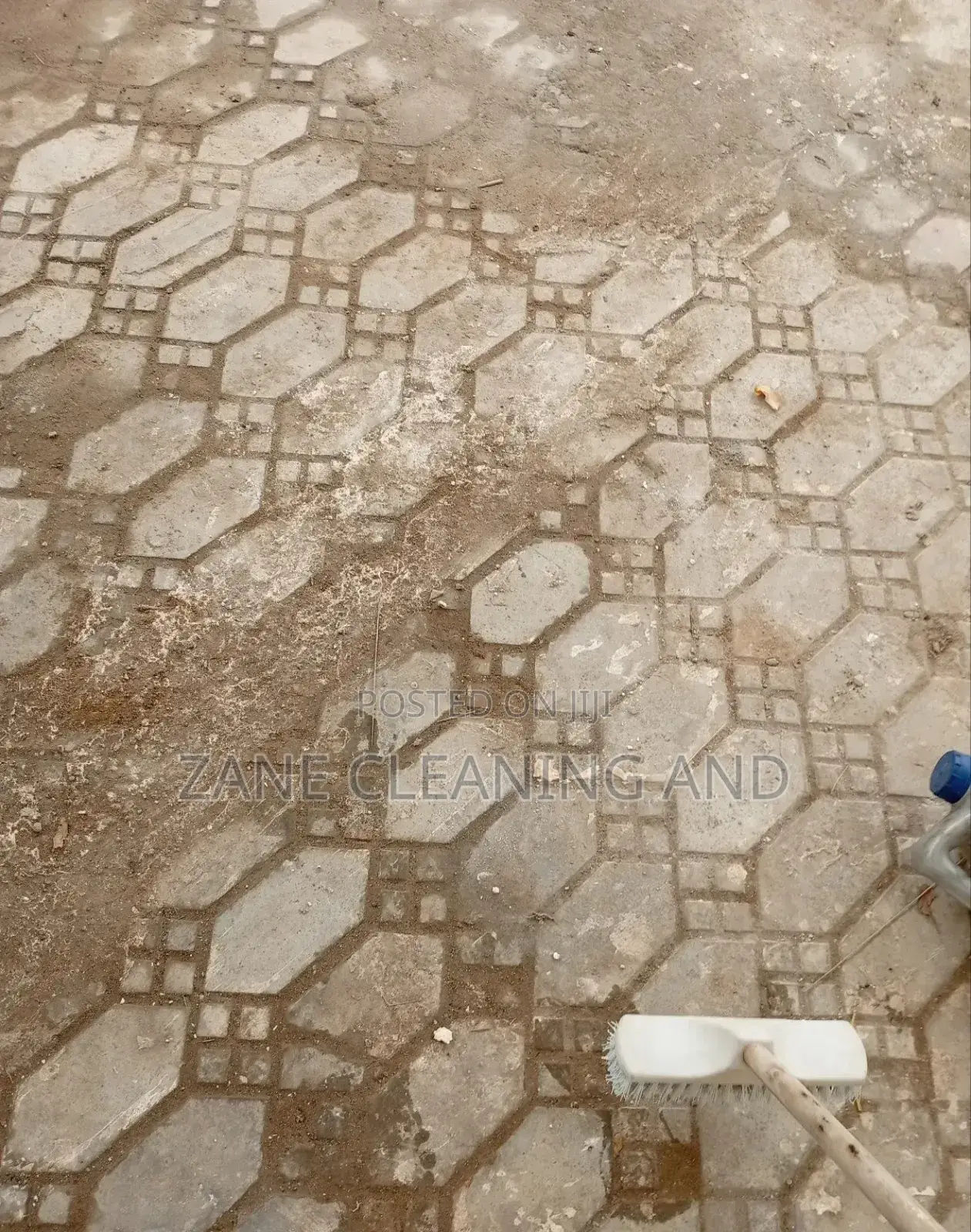 Cleaning and Fumigation Services