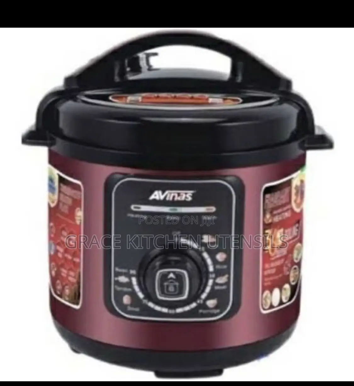 Avinas Electric Pressure Pot